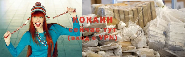 сатива Беломорск