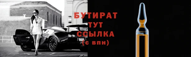 сатива Беломорск
