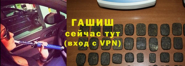 сатива Беломорск
