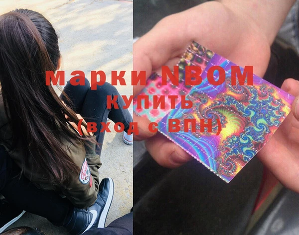 сатива Беломорск