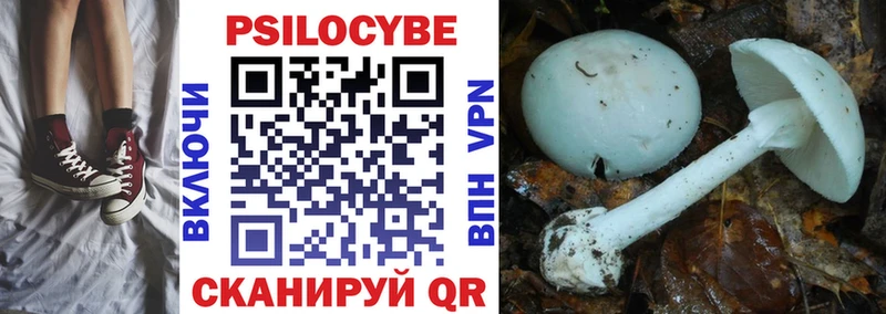 гидра рабочий сайт  Липецк  Галлюциногенные грибы Magic Shrooms 