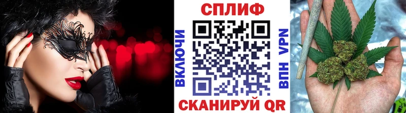 Бошки Шишки план Липецк